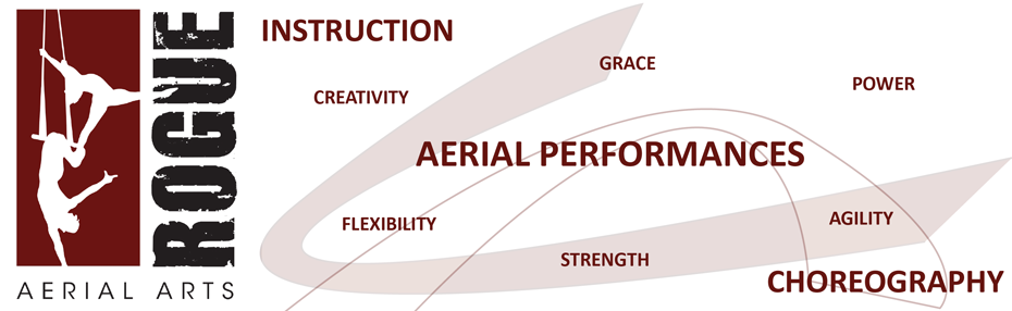 Rogue Aerial Arts