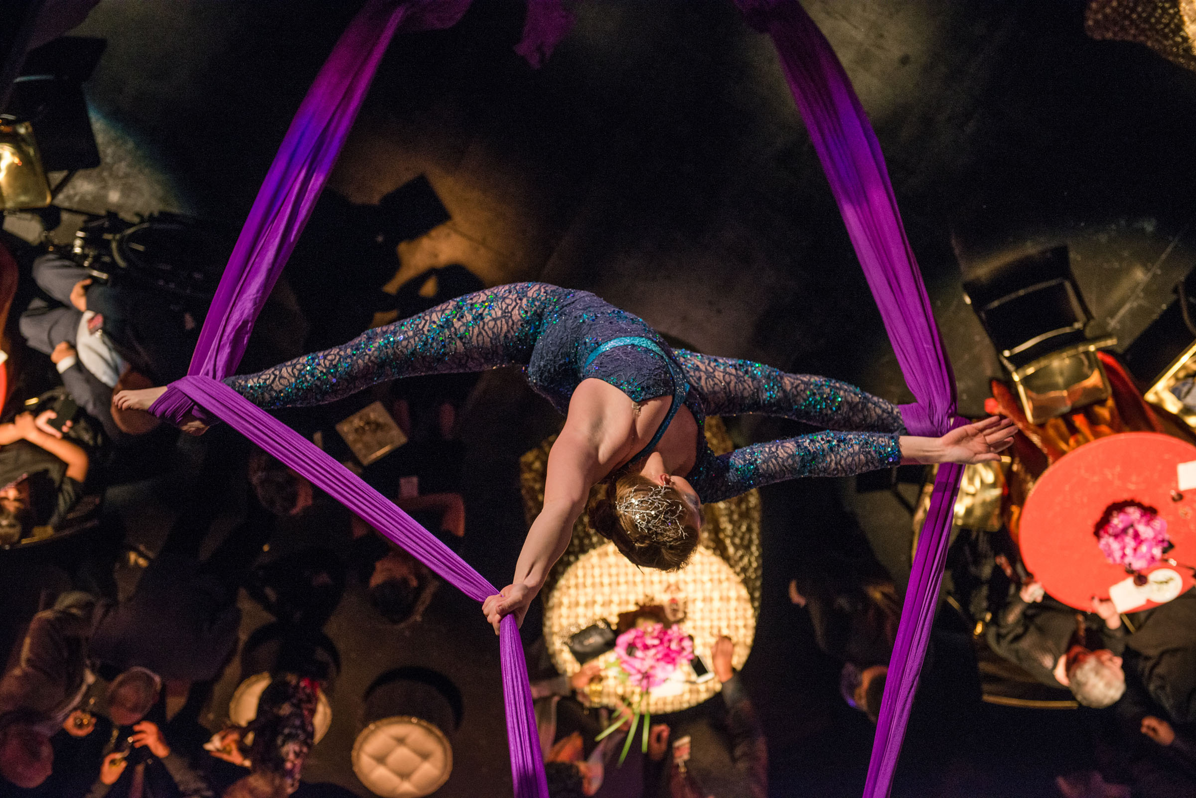 Rogue Aerial Arts