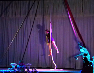 Rogue Aerial Arts