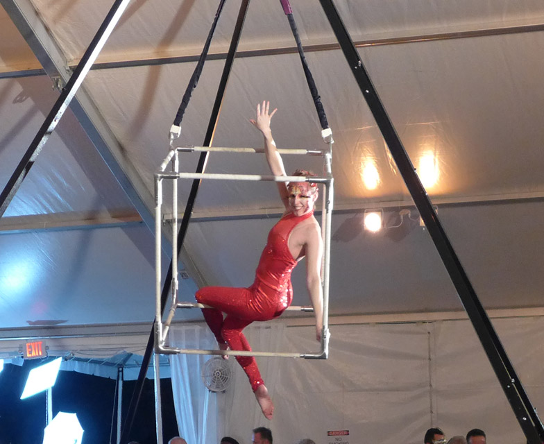 Rogue Aerial Arts