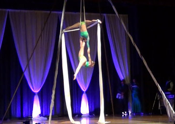 Rogue Aerial Arts