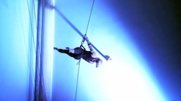 Rogue Aerial Arts